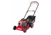Gasoline Lawn Mower Self-propelled 2kW 2.4hp 1200m2 RD-GLM07 thumbnail