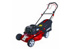 Gasoline Lawn Mower B&S 125cc 1.7kW 46cm 60L 4in1 RD-GLM05W thumbnail