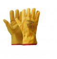 product-universal-gloves-pg06-tmp-thumb