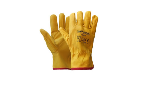 Universal Gloves PG06 TMP image